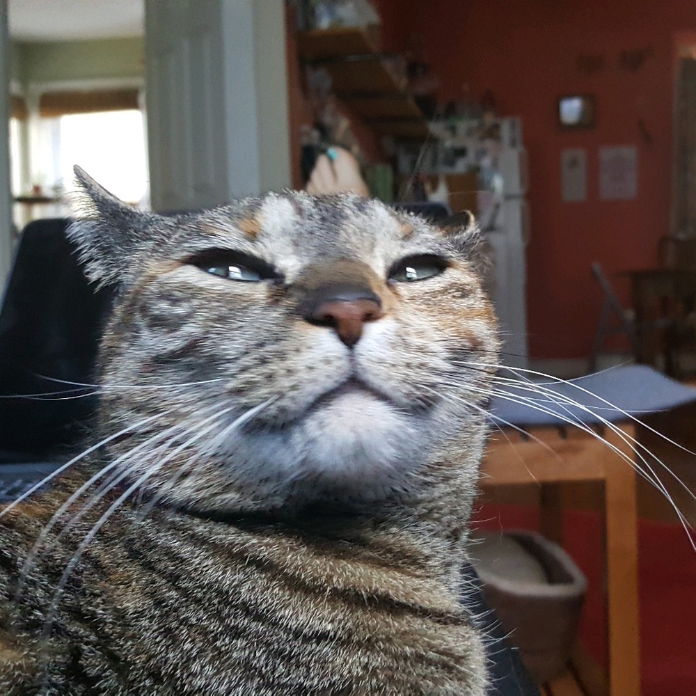 Meet your Posher, Melissa